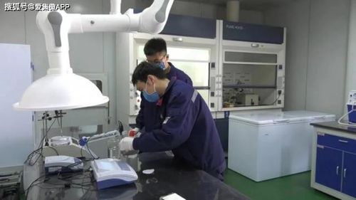 高新硅基與生物基材料齊頭并進(jìn) 興洋科技項(xiàng)目立項(xiàng)與研發(fā)新突破